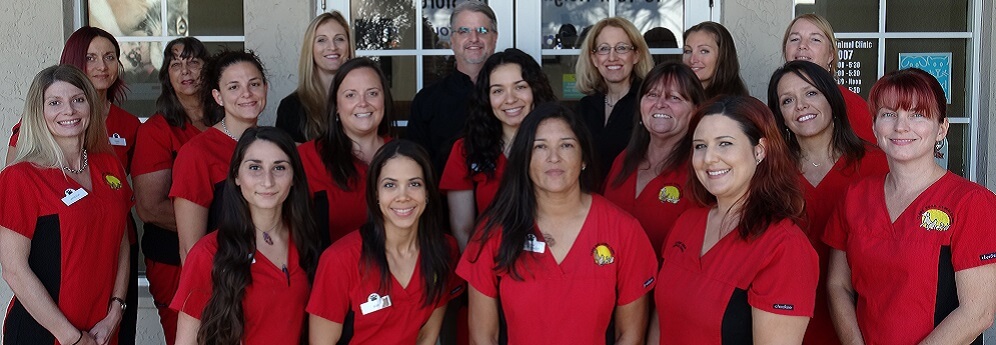 Top veterinary practice team in Sarasota Florida